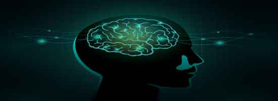 Brain-chemicals – كيماويات الدماغ Brain-chemicals – كيماويات الدماغ